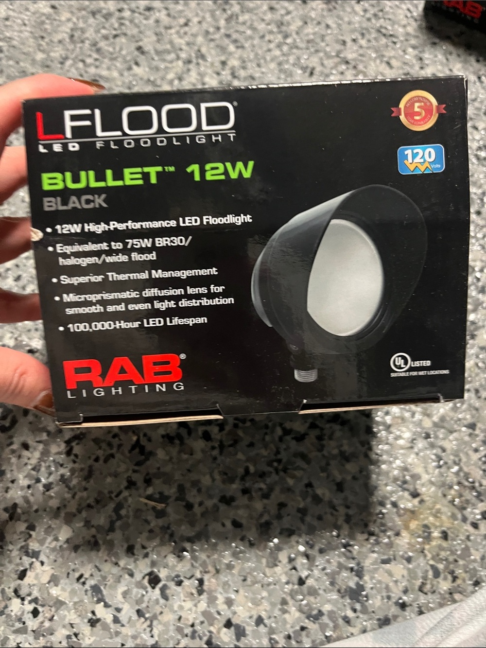 Bullet 12W LED Floodlight - Black